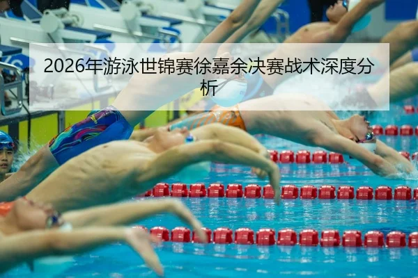nian-you-yong-shi-jin-sai-xu-jia-yu-jue-sai-zhan-shu-shen-du-fen-xi-2-508.jpg