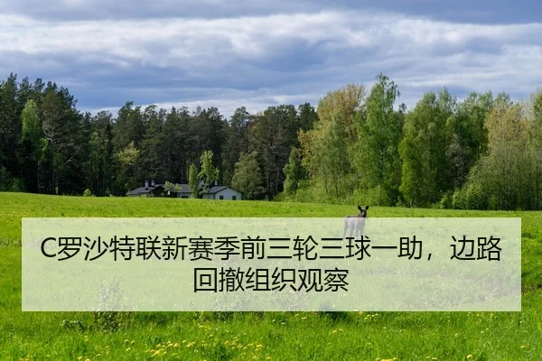 luo-sha-te-lian-xin-sai-ji-qian-san-lun-san-qiu-yi-zhu-bian-lu-hui-che-zu-zhi-guan-cha-1-187.jpg