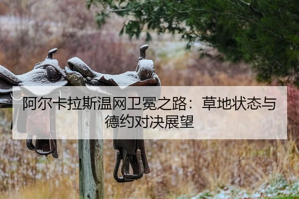 a-er-ka-la-si-wen-wang-wei-mian-zhi-lu-cao-di-zhuang-tai-yu-de-yue-dui-jue-zhan-wang-2-322.jpg