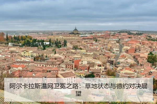 a-er-ka-la-si-wen-wang-wei-mian-zhi-lu-cao-di-zhuang-tai-yu-de-yue-dui-jue-zhan-wang-3-579.jpg