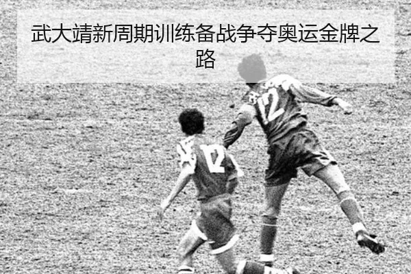 wu-da-jing-xin-zhou-qi-xun-lian-bei-zhan-zheng-duo-ao-yun-jin-pai-zhi-lu-3-738.jpg
