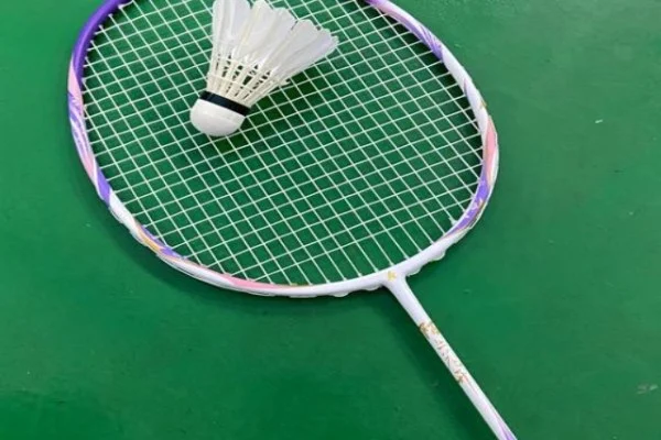 WNBA总决赛拉斯维加斯王牌对纽约自由人威尔逊斯图尔特巅峰对决分析